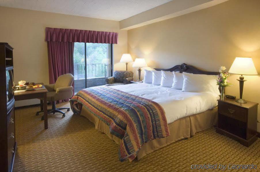 Chateau Resort & Conference Center Tannersville Rum bild